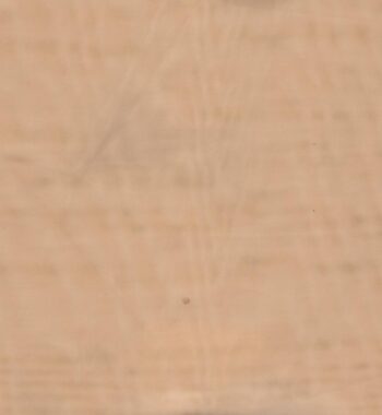 Sheer Collection FD-536